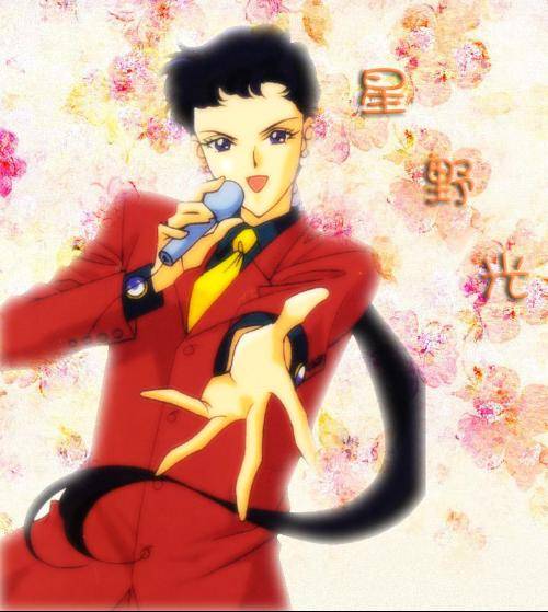 星野光(日本漫画《美少女战士》及其衍生作品中的角色)