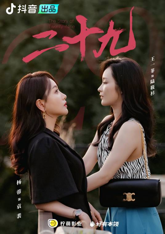 二十九（2023年杨科南执导的都市情感剧）