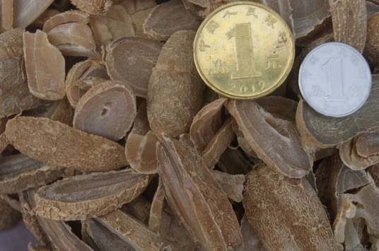 郁金（中药名）