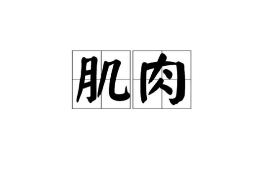 肌肉（汉语词语）
