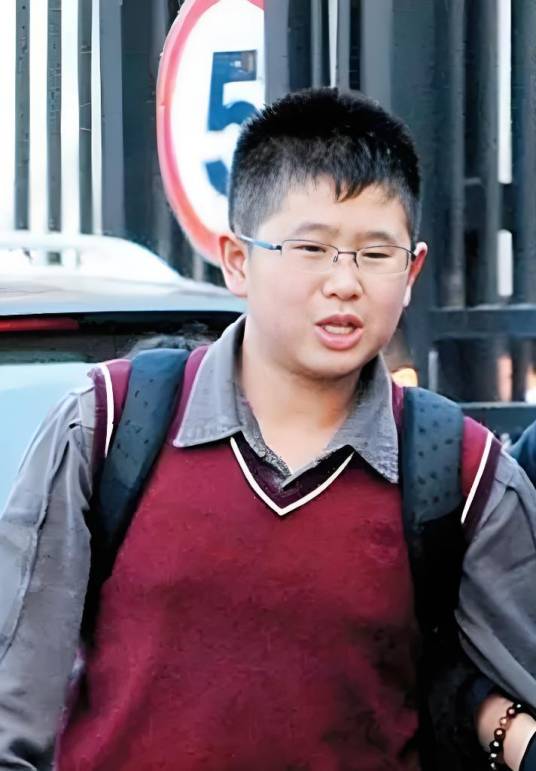 虎子（倪萍的儿子）