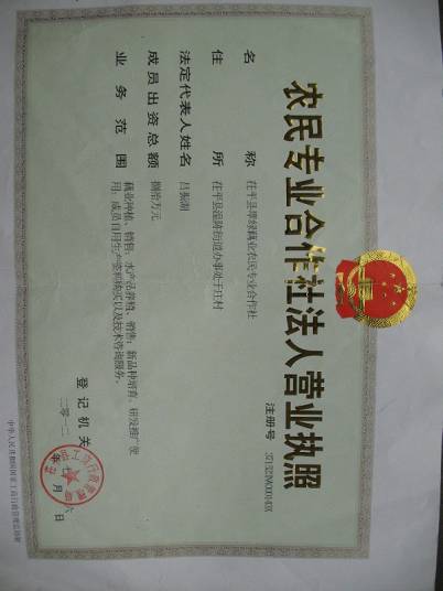 合作社
