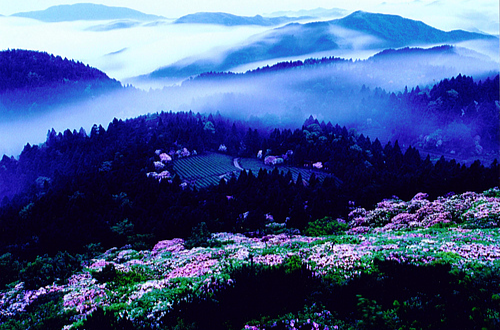 天台山（仙霞岭中支山脉）