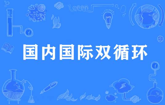 国内国际双循环