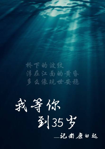 我等你到三十五岁（南康白起创作的网络小说）