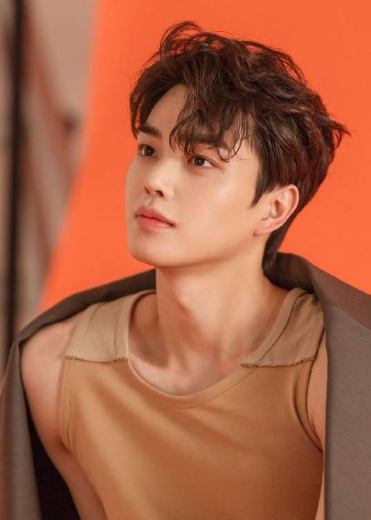 宋江（韩国男演员、主持人）