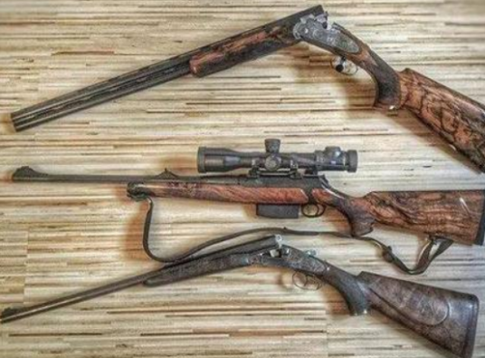 猎枪（打猎工具）