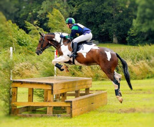 马术(体育竞技类运动)