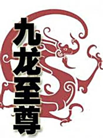 九龙至尊（盘古创作的玄幻类网络小说）