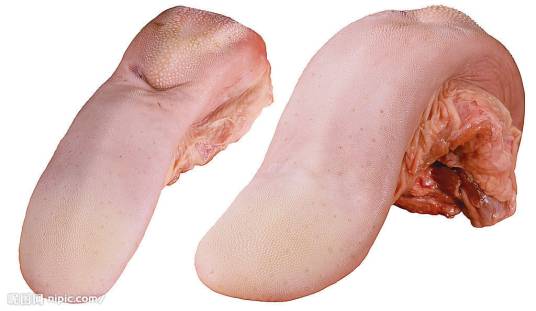 口条（词语本意）