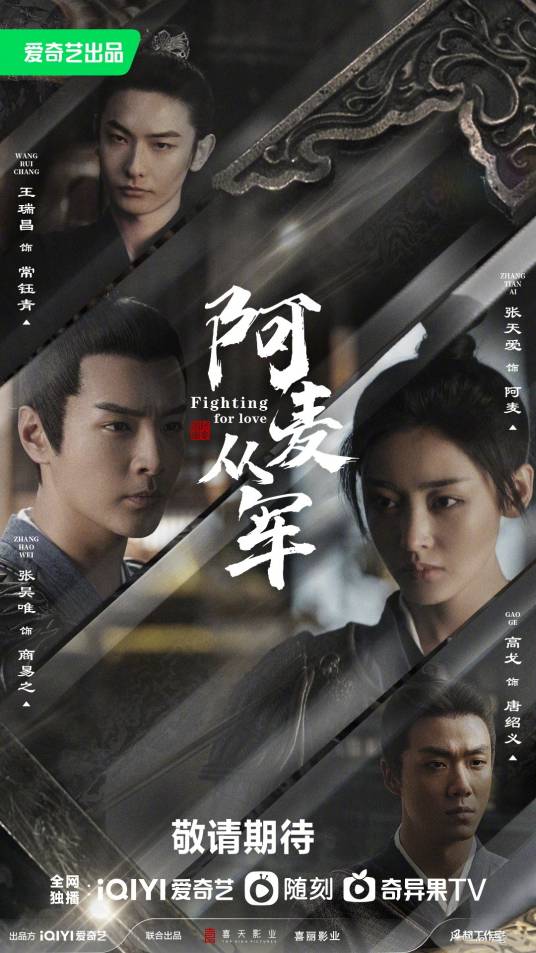 阿麦从军（2024年田少波执导的古装励志传奇剧）