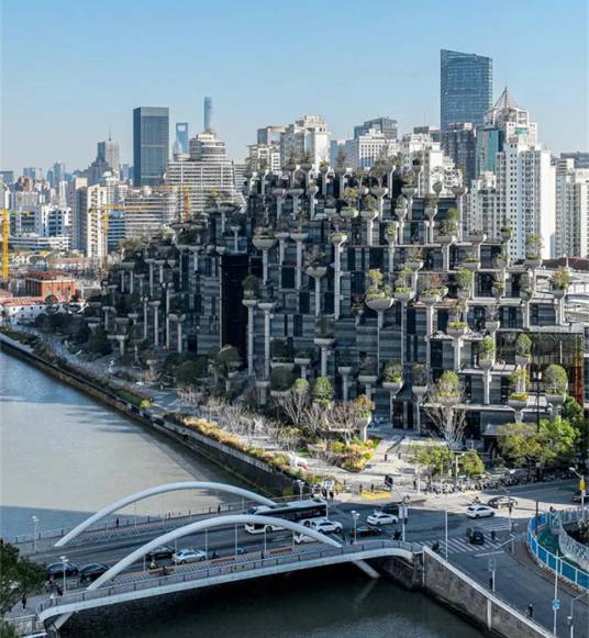 大洋晶典·天安千树