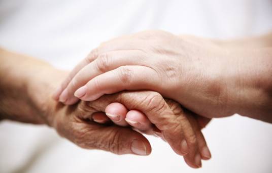 亲情（万物情感）