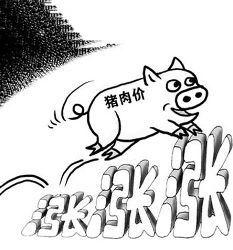 猪周期