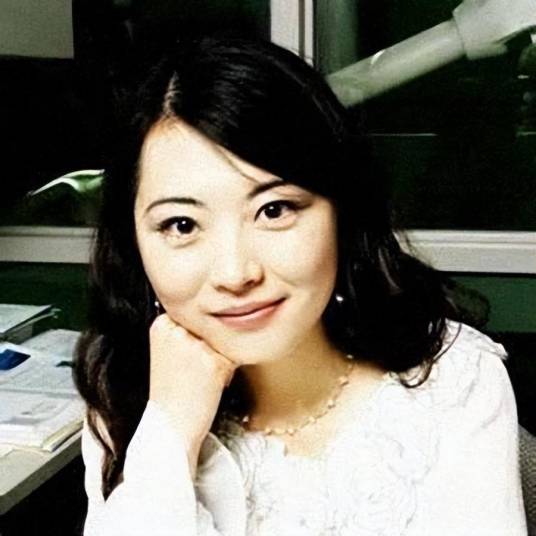 何碧玉（美国纽约大学医学院副教授）