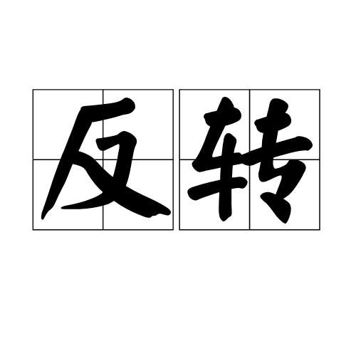 反转（汉语词汇）
