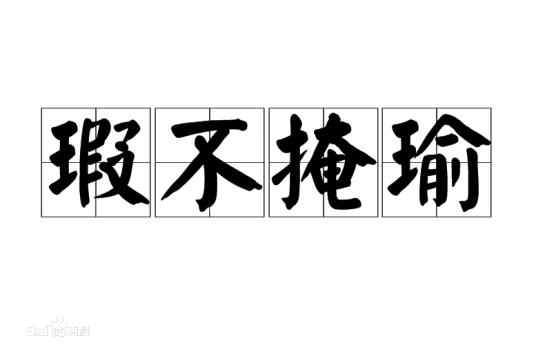 瑕不掩瑜（汉语成语）