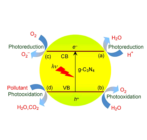 催化（化学名词）