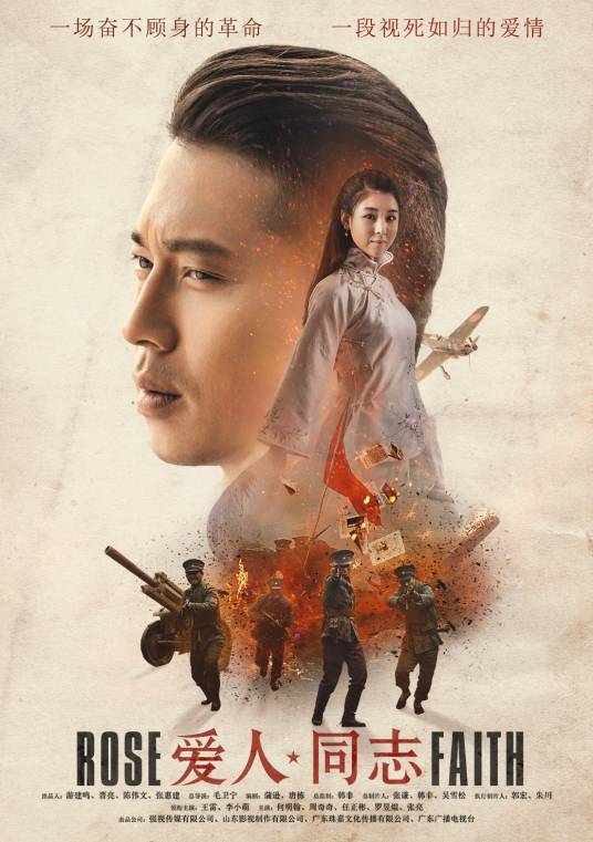 爱人同志(2016年毛卫宁执导的电视剧)