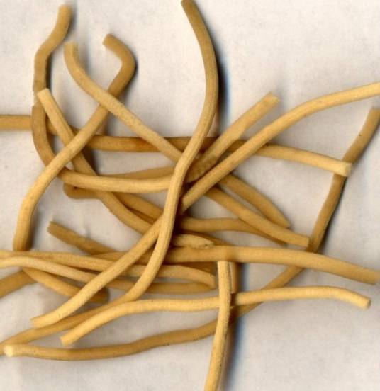 灯心草（中医药）