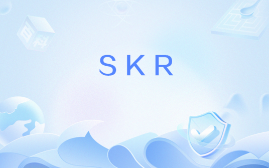 SKR（网络用语）