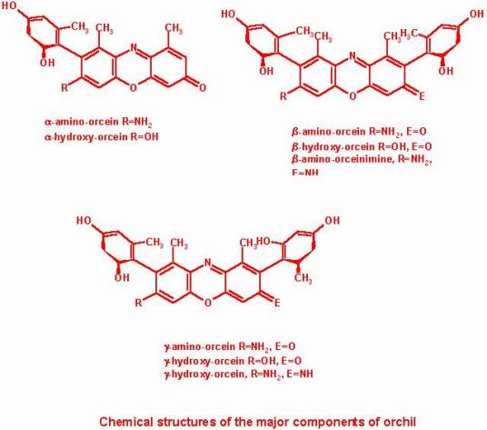 石蕊（化学试剂）