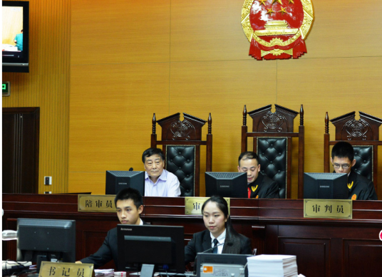 人民陪审员
