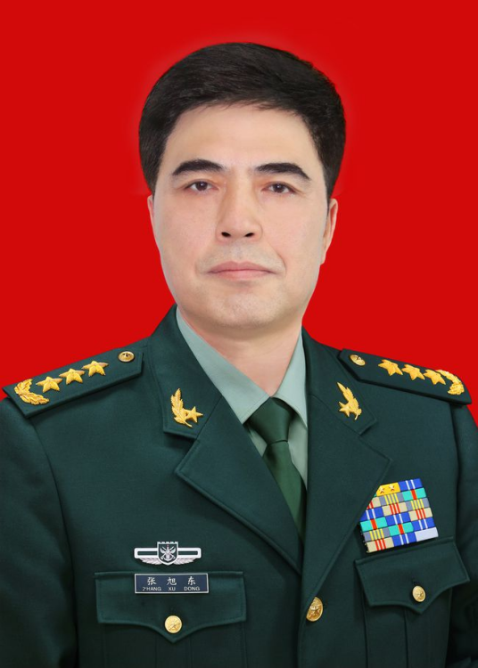 张旭东(中央军委战略规划委员会原上将专职委员)