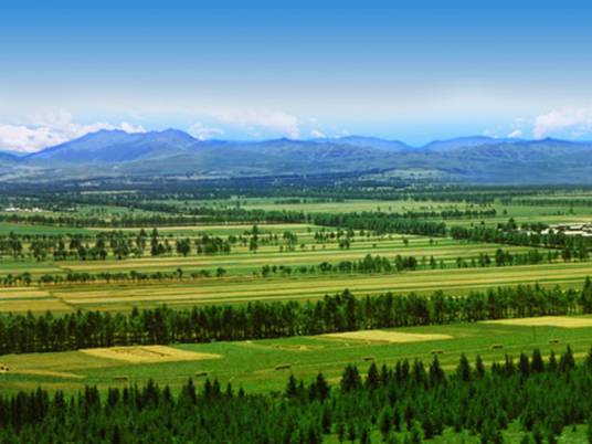 “三北”防护林工程