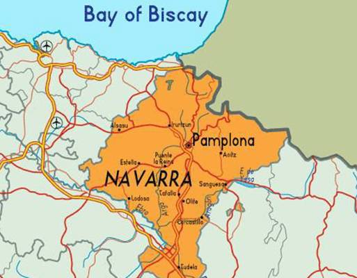 纳瓦拉(地理区域)