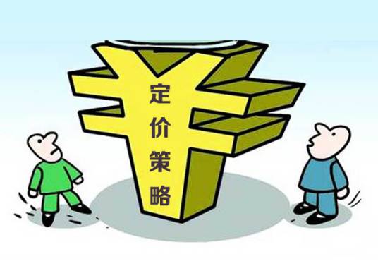 定价策略（市场营销关键组成部分）