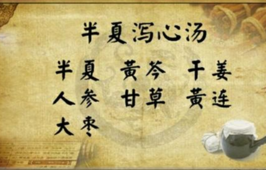 半夏泻心汤（中医方剂名）
