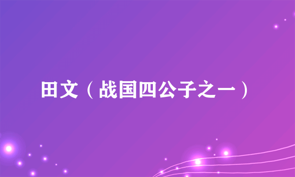 田文（战国四公子之一）