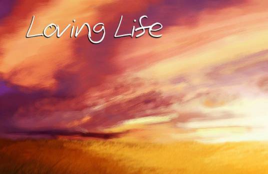 热爱生活（生活状态）