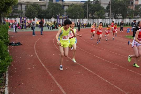 体育赛事(有规模有级别的正规比赛)