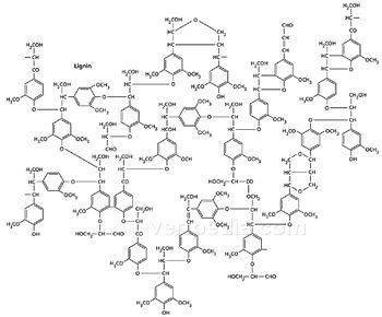 木质素(一类复杂的有机聚合物)