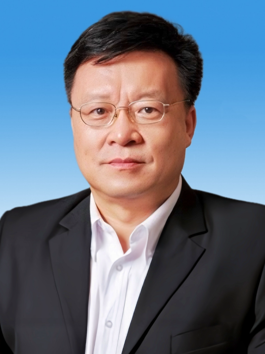 高文（中国工程院院士、计算机专家）