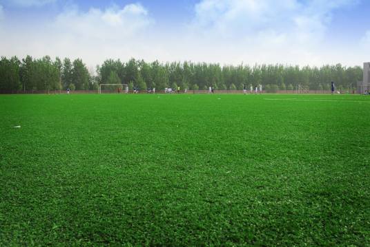 绿茵（美国1995年Holly Goldberg Sloan执导的家庭电影）