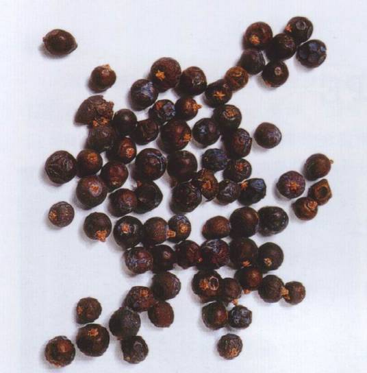 杜松子（柏科桧属植物莓果）