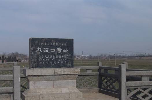 大汶口文化（中国新石器时代文化）