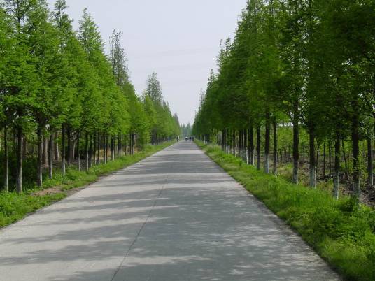 公路工程（公路建筑管理术语）