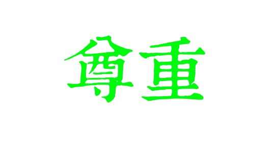 尊重（汉语词语）