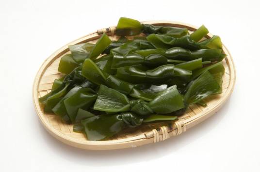 海带（一种可食用藻）
