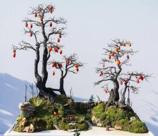 盆景（传统艺术形式）