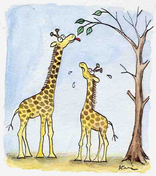 物竞天择（达尔文进化论的核心思想）