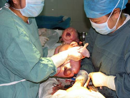 妇产科（医学学科）