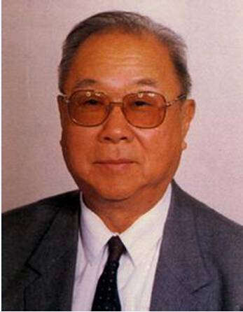 张维(两院院士、力学专家)