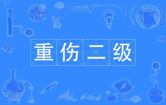重伤二级
