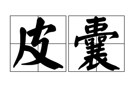 皮囊（汉语词语）