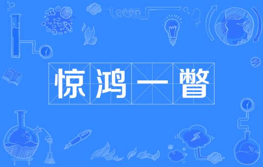 惊鸿一瞥（成语）